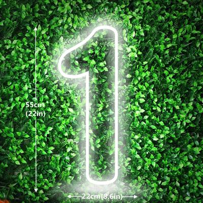 China Other Customized 1st Birthday USB Neon Light Sign Holder and Wall Mount Cable LED Neon Sign with Clear Base for Birthday Party Lights for sale