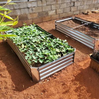 China CLASSIC Outdoor Planter Vegetables Planting Metal Steel Wholesale Corrugated House Tall White Raised Garden Bed for sale