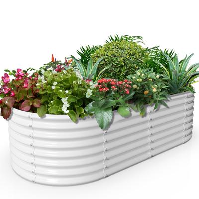 China CLASSIC Outdoor Modular Corrugated Vegetable Planter Oval Box Kits Aluzinc Galvanized Steel Metal Raised Garden Beds for sale