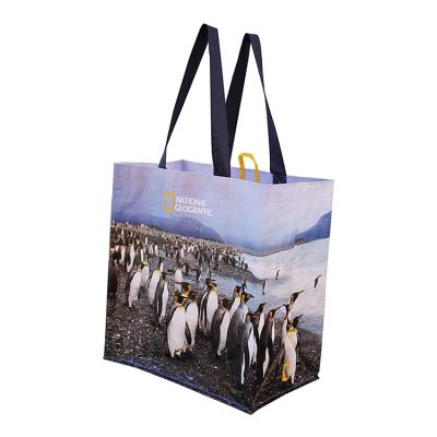 China High Quality Eco-friendly Customize Pattern Printed Eco Friendly Foldable Durable PP Woven Shopping Bag for sale