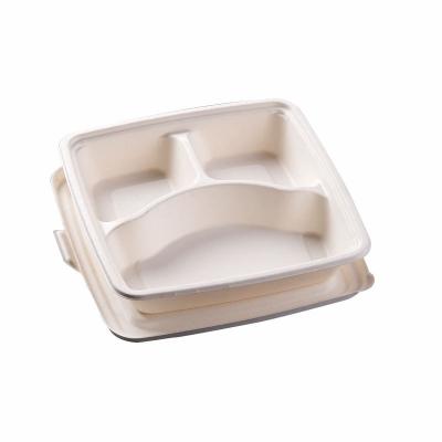 China Disposable Biodegradable Sugarcane Pulp Lunch Food Packing Box Biodegradable Packaging for sale