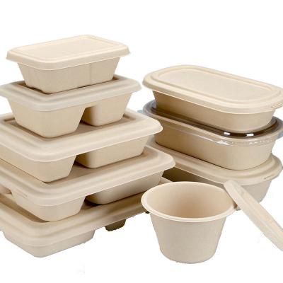 China Sugarcane Bagasse 4 Compartment Biodegradable Biodegradable Bento Lunch Box Food Containers for sale