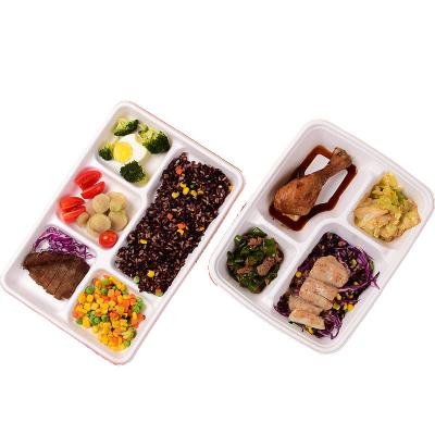 China Biodegradable Bagasse Eco Food Sugarcane Bento Boxes Disposable Takeout Containers for sale