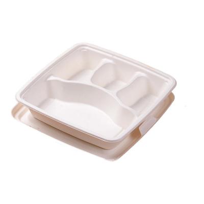 China Biodegradable Natural White Color Bagasse Food Tray 3 Compartment Sushi Takeaway Food Box for sale