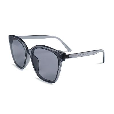 China Fashion 210 Gray Brown Black Outdoor Square Super Light Oversized Men's Glasses Wholesale High End Custom TR90 Sunglasses for sale