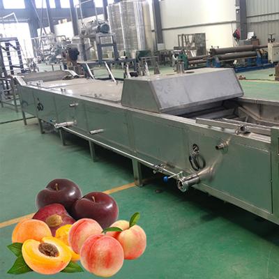 China food & Vegetable Beverage Plant Apricot Fruit Pulp Jam Making Processing Line for sale