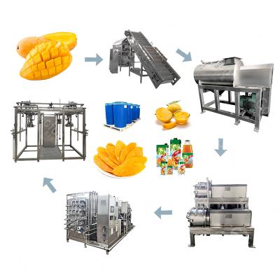 China food & Natural Beverage Mango Juicer Production Line Food Processing Plant Beverage Processing Machine for sale