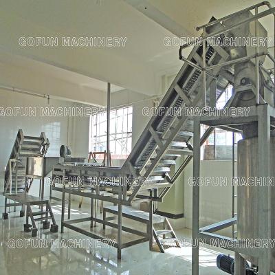 China food & Beverage Factory Apricot Drier Production Line Manufactured Fruit Vegetable Dehydrators For Sale for sale