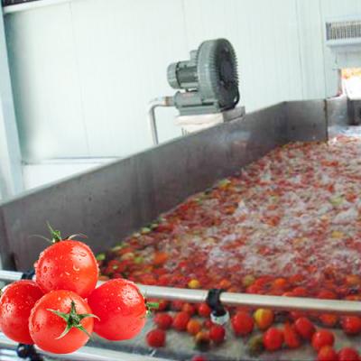 China Tomato Juice Capping Machine Fruit Vegetable Concentrate Tomato Processing Plant Line And Line for sale