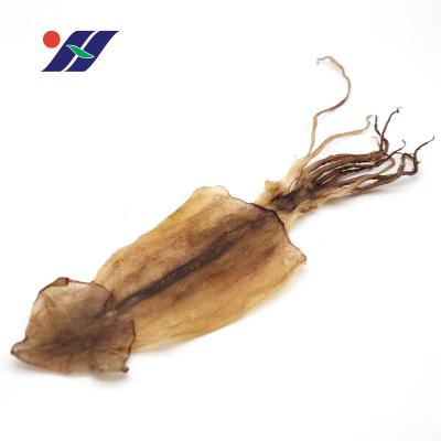 China Wholesale nutritious squid skewers dry squid BBQ high quality ingredients, semi-processed squid products for sale