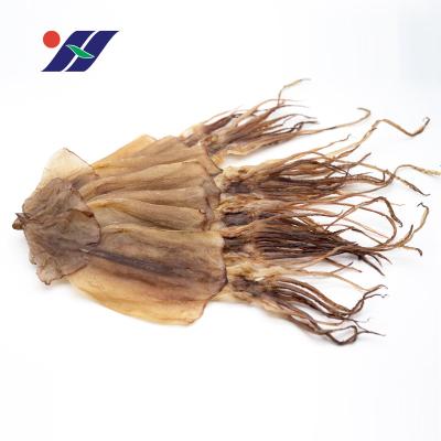 China Wholesale dry squid nutritious without additives, delicious nutrition, deeply processing squid semi-finished products for sale