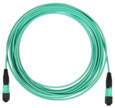 China Data Center MPO MPO Core OM3 MM Loss Fiber Optic Trunk Patch Cord MPO-MPO 12 To 1*12 Bass for sale