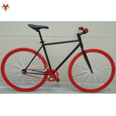 China 700C Colorful Fixed Gear Bike YTJ-FGB-21 hot sell 700c cheap single speed fixed gear bike for sale