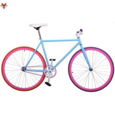 China Racing 2020 newly style colorful single speed 700c bicycle for sale for sale