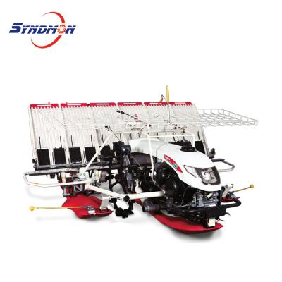 China Transplante Japan Brand Quality 6 Row Walk Behind Type Seedling Rice Transplanter for sale