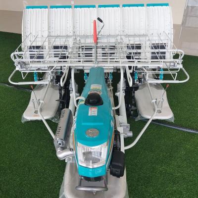 China NEW Agriculture Seeders JOFAE Walking Behind Type Model Rice Transplanter 4 Rows Low Price for sale