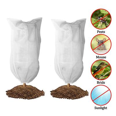 China TREE PLANT PLANT Cover Winter Frost Protection Warm Covers for Tree Shrub Plant Bag Antifreeze Yard Agriculture Protective Covers for sale