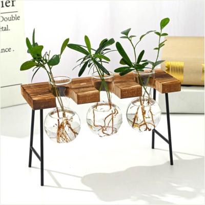 China Minimalist China Top Classic Wall Planter Hanging Modern Round Shape Glass Vase for sale