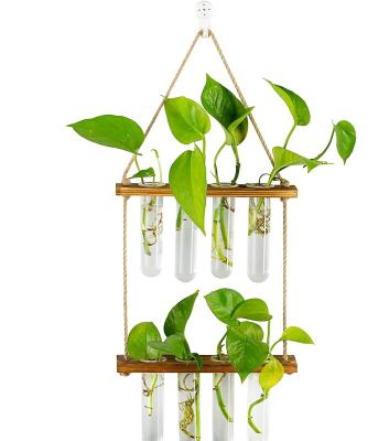 China Minimalist High Quality 8 Tube Wall Decor Hanging Glass Test Tube Vase Planters for sale