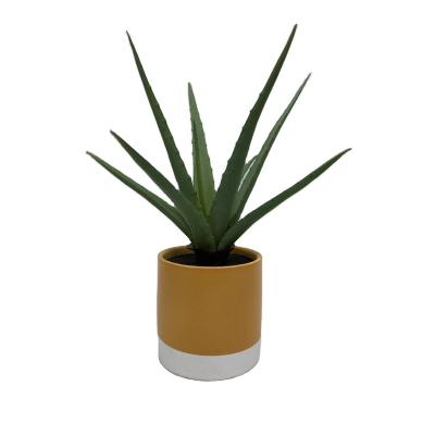 China Home Decotation High Quality Cheap Custom Aloe Artificial Plants for sale