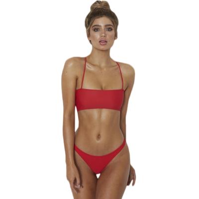 China Plus Size 2023 Fashion Bikini OEM Manufacturer Women Solid Color Strap Bikini Swimwear for sale