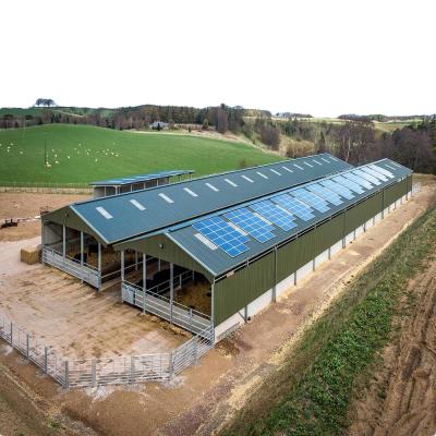 China Steel Workshop Easy Install Prefab Cattle Raising Barn Steel Structure Cow Shed Shed With Steel Structure for sale