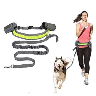 China Durable Hands Free Dog Leash Set For Running Walking - Retractable Dog Belt Bungee Dog Walking Leash for sale