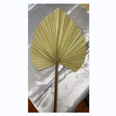 China INS Eco-friendly Hot Sale Dried Natural Plant Leaves Home Wedding Decoration Dried Artificial Palm Leaf for sale