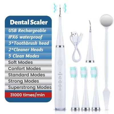 China Convenient Electric Sonic Dental Scaler Teeth Calculus Remover Vibrition Whitening Teeth Calculus Calculus Remover Tooth Clean Tool Oral Care for sale