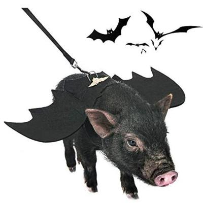 China Viable Amazon Halloween Cosplay Hot Sale Funny Bat Wings Dog Harness With Tarction Rope Pet Clothes for sale