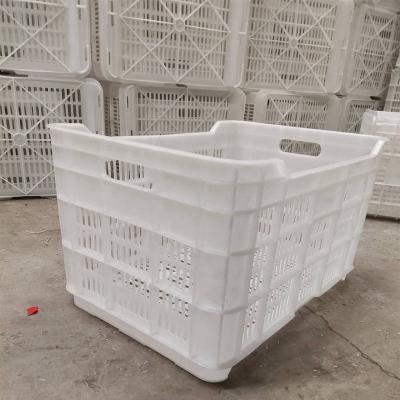 China Collapsible supermarket storage plastic fruit egg carrier basket trash bins vegetable crate with holes for sale for sale