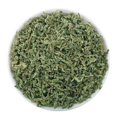 China New Low Fat Flavor Wholesale Best Selling Peppermint Green TeaH for sale