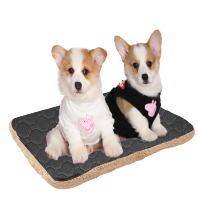 China Viable Hot Selling Puppy Training Dog Urine Pee Mat Washable Puppy Pet Training Reusable Pet Mat for sale