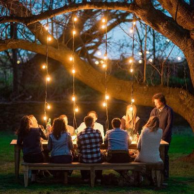 China Warm White Waterproof Led String Light Ip65 Marriage Proposal Wedding Party Birthday Party Garden Lights Outdoor String Lights S14 for sale