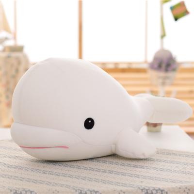 China New Plush Ocean Animals Stuffed Soft Foam Balls White Whale Toys for sale