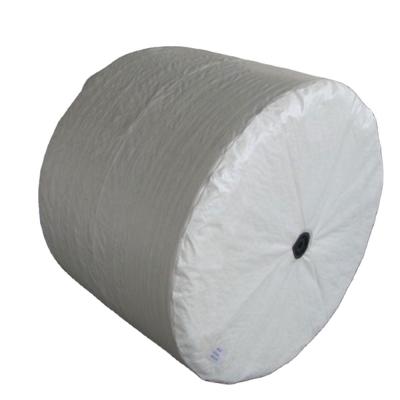 China China Manufacturer Recyclable Polypropylene Printed Coated 100% White Raffia PE PP Fabric for sale