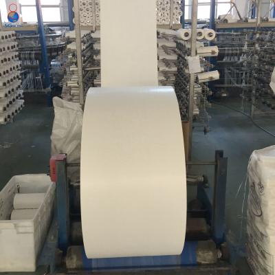 China China Recyclable Printed Coated White 100% Raffia Polypropylene PP Fabric Manufacturer for sale