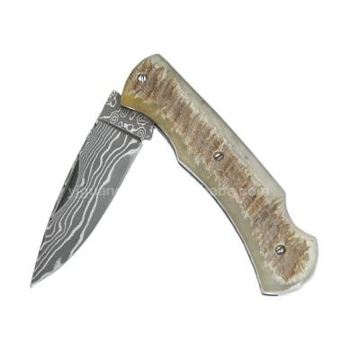 China Pocket Knife Non-variable Damascus Steel Blade With Ox Horn Handle Or Sheep Horn Handle Black Folding Blade Knife for sale