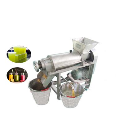 China Hotels Industrial Stainless Steel Screw Spiral Ginger Carrot Juice Pressing Machine for sale