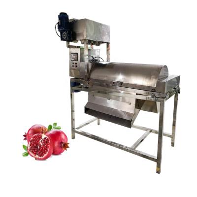 China PLC Control Industrial Small Seeds Guava Making Juice Making Machine for sale