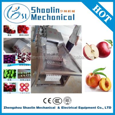 China High Capacity Hot Selling Apple Seed Removal Machine With Fast Delivery for sale