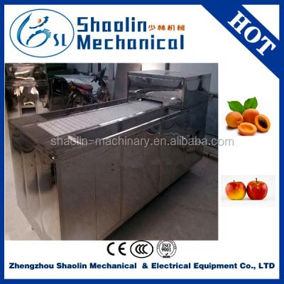 China High Capacity Hot Sale Olive Seed Pitter Remove Machine With Fast Delivery for sale