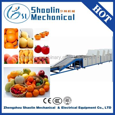 China Fruit and vegetable sorter new style fruit processing washing line sorting apple/onion/mango/orange with best service for sale