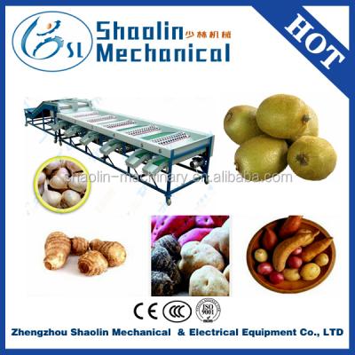 China New style fruit and vegetable sorter fruit sorting and grading machine for kiwi fruit potato pineapple with best service for sale