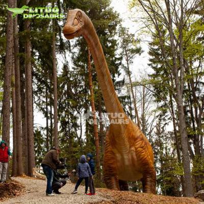 China Decoration Outdoor Outdoor Display Dinosaur Animated Dinosaur Playground for sale