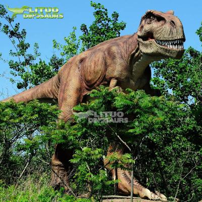 China Outdoor Realistic Walk with Animatronic T-rex Dinosaur for sale