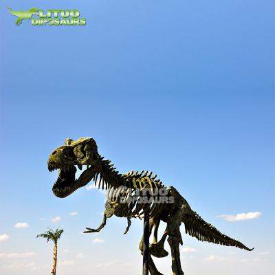 China Full Size Outdoor Giant Realistic Dinosaur Attraction Playground Skeleton Model for sale