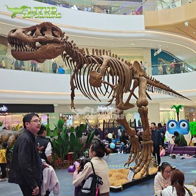 China Outdoor Realistic Dinosaur Skeleton Fossil Display at Mall for sale