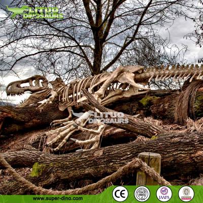 China Science Museum Dinosaur Fossils Show Life Size T-rex Skeleton For Sale LT-BB-BWLGJ-H19 for sale