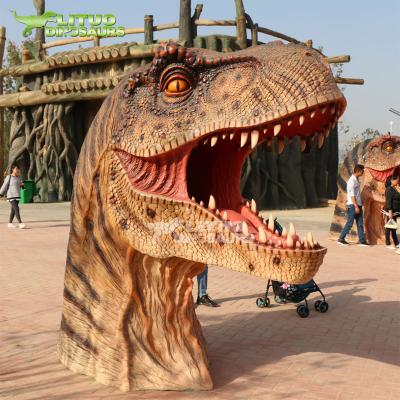 China T-rex fiberglass fiberglass dinosaur head for taking photo for sale